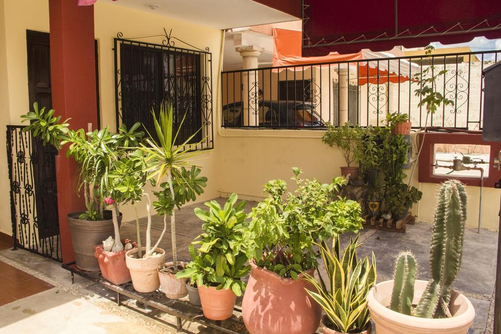 La Casa Del Chac Villa Merida Luaran gambar