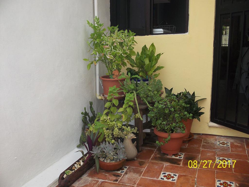 La Casa Del Chac Villa Merida Luaran gambar