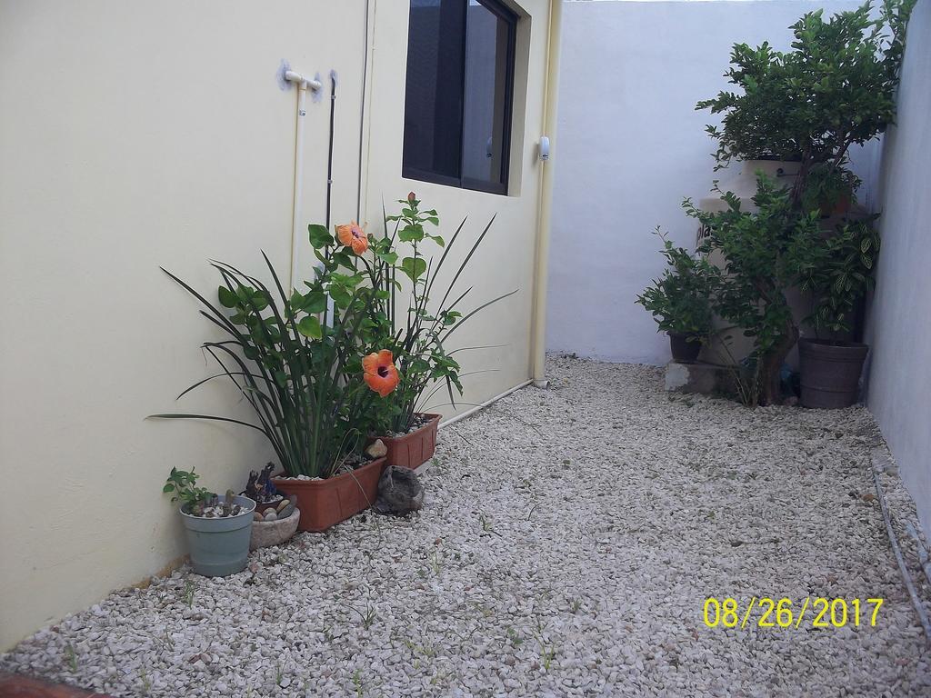 La Casa Del Chac Villa Merida Luaran gambar